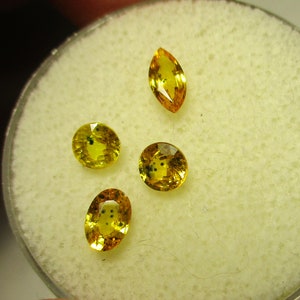 LADY BUG SAPPHIRES – Kenya – 4 Stone Lot of Mixed Shapes – Natural Material - Vintage 1990s - Made Between India & Maine