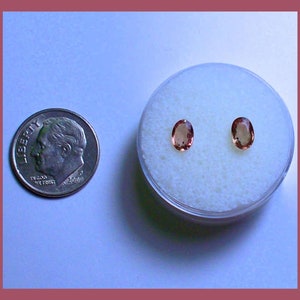 LADY BUG SAPPHIRE – Kenya – Pair of 6 x 4 Millimeter Facetted Ovals – Blue Lady Bug Spots In Light Root Beer Sapphire - Made in Maine
