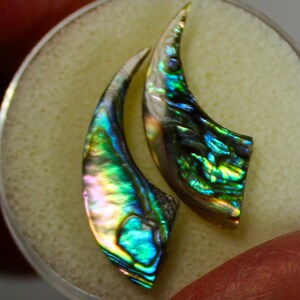 May include: Two iridescent abalone shell pieces in the shape of a claw or talon. The shell has a green, blue, and purple iridescent sheen.