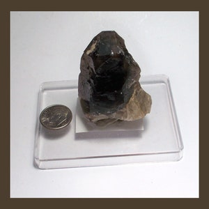 May include: A dark smoky quartz crystal with a pointed top and a rough, natural texture. The crystal is displayed on a clear plastic base next to a US dime for scale.