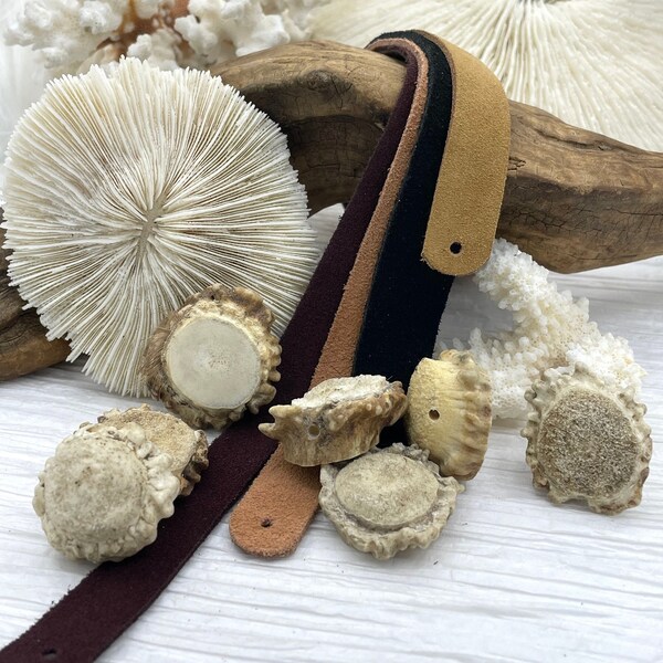 Naturally Shed Deer Antler Burr Beads, 1-1.5 Inches, 1mm CENTER Drilled Hole, Hand Drilled Deer Antler Burr, Fast Ship