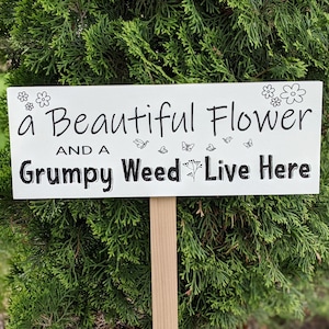 May include: A white rectangular garden sign with black text that reads "a Beautiful Flower AND a Grumpy Weed Live Here." The sign has flower and butterfly illustrations. The sign is mounted on a wooden stake and set against a backdrop of green foliage.