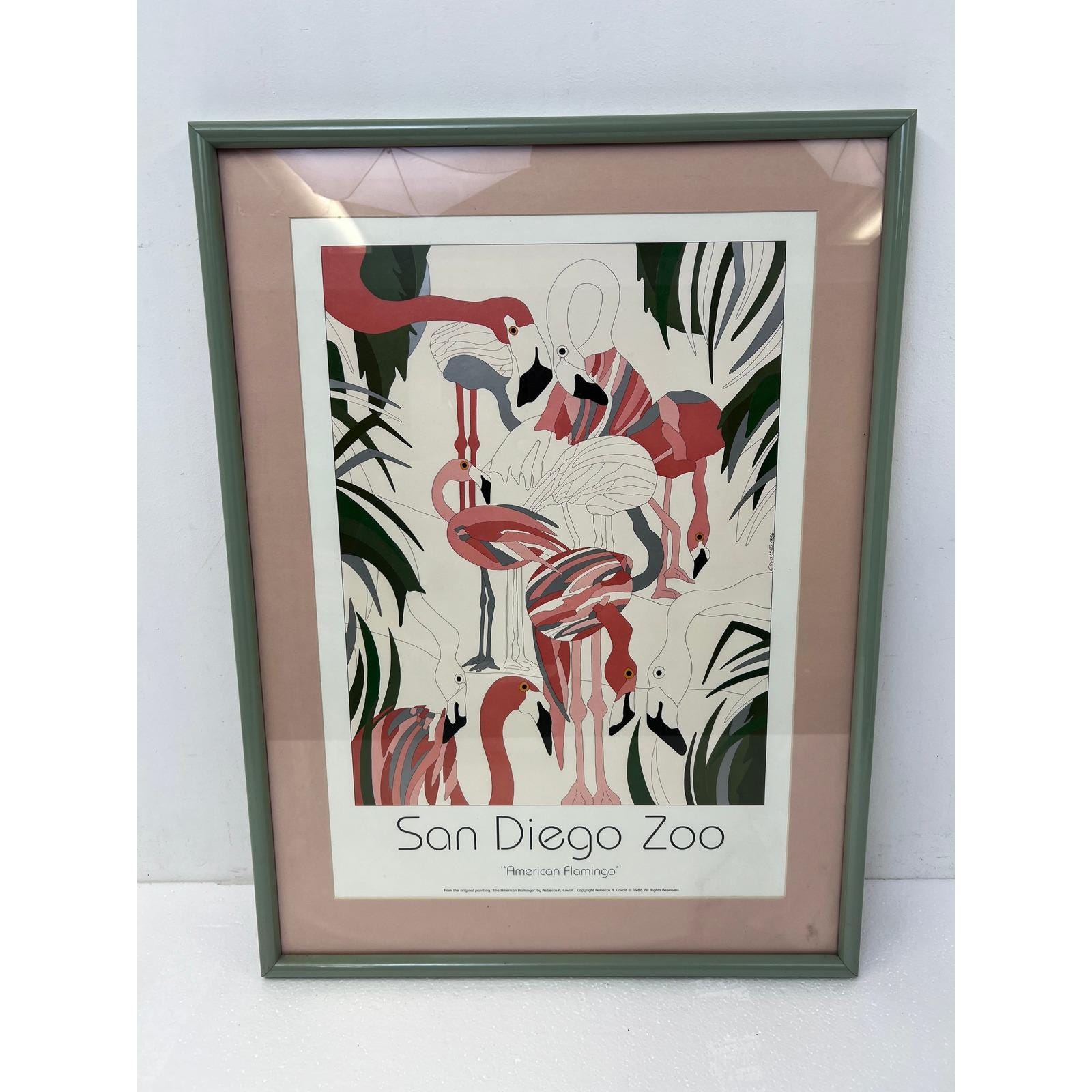 San Diego Zoo Poster - Etsy