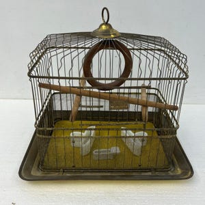 Hendryx Bird Cage - Etsy