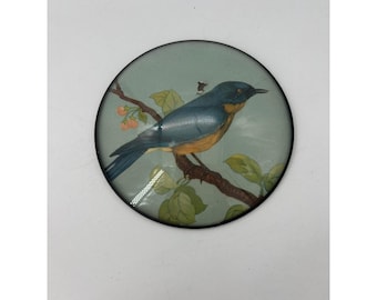 Vintage Round Convex Dome Glass Bird Wall Art Bluebird Songbird Nature Decor
