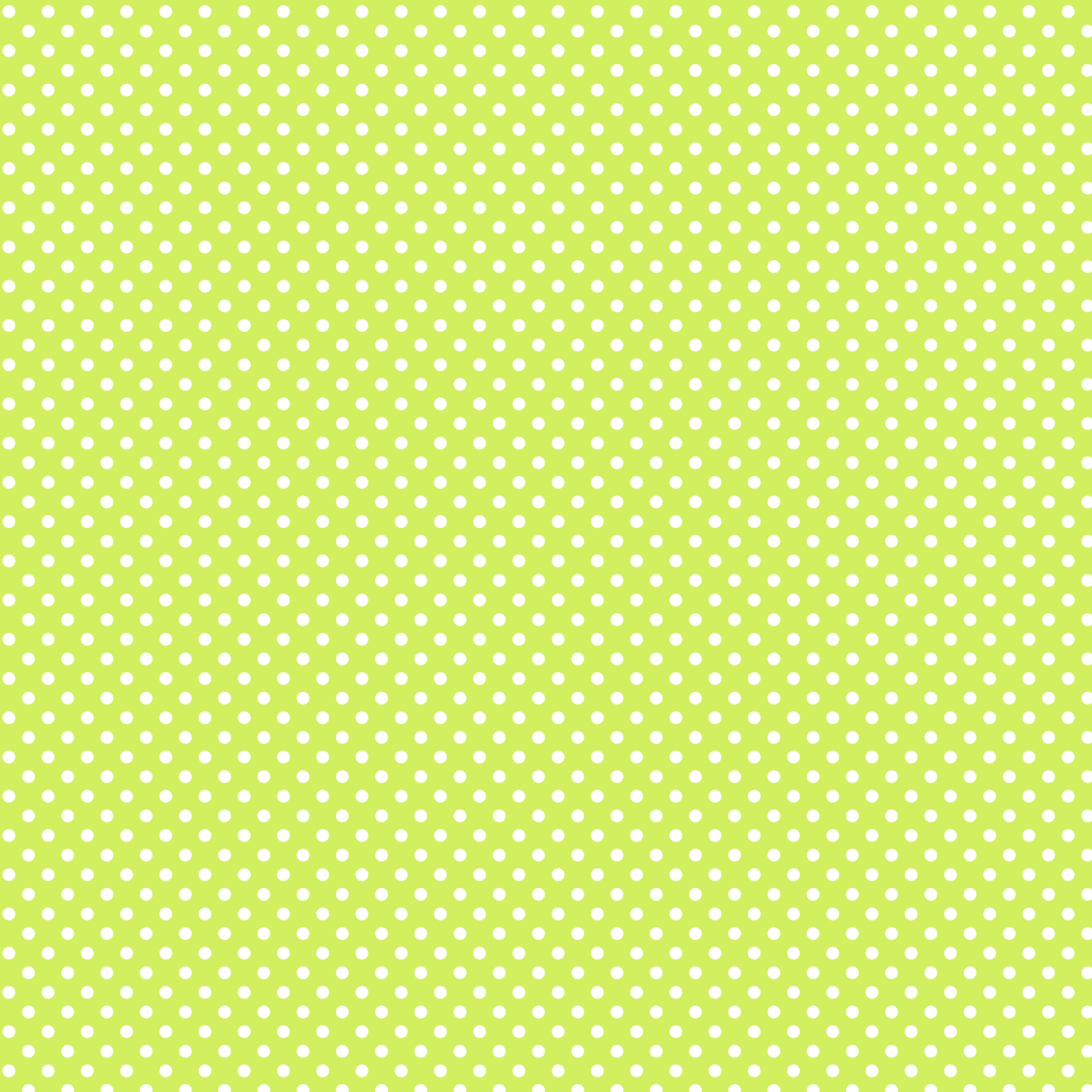 NEW Green with Small White Polka Dot Cardstock Paper Etsy