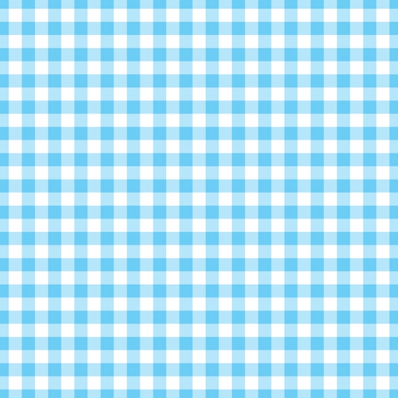 light blue gingham pants