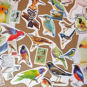 Oiseaux éphémères - Découpes difficiles, timbres, cartes postales et plus encore