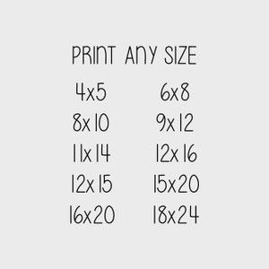 May include: A list of different print sizes for a product, such as a poster or photograph. The sizes are listed in inches, with the width first and the height second. The sizes are: 4x5, 6x8, 8x10, 9x12, 11x14, 12x16, 12x15, 15x20, 16x20, and 18x24.