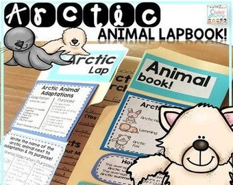 Attività sul lapbook degli animali artici - Adattamenti Progetto di ricerca sul bioma della tundra