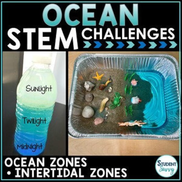 Ocean STEM Activities Challenges - Earth Science Oceanology Zones Tidepool