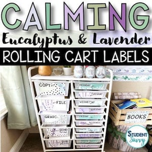 Eucalyptus Rolling Cart Classroom Labels Editable Calming Classroom Decor image 1