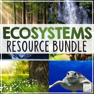 Könnte beinhalten: Ein Ressourcenpaket zum Unterrichten über Ökosysteme. Das Paket enthält Bilder eines Waldes, eines Wasserfalls, eines Gebirges, eines Blumenfeldes und einer Meeresschildkröte.