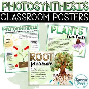 Photosynthesis Posters | Earth Science Classroom Decor | Parts of a Plant