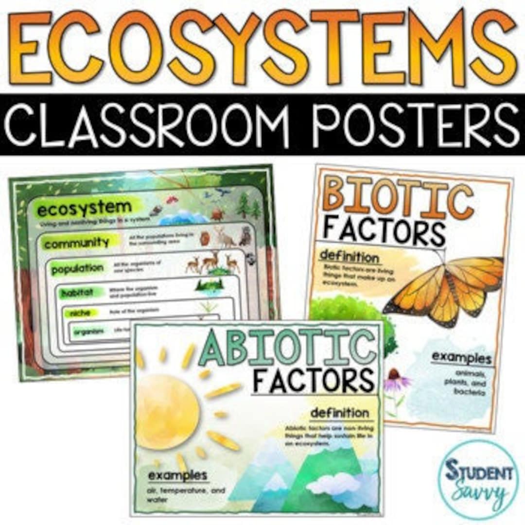 Ecosystems Posters 5th Grade Ecosystems Food  Food Chain Posters Etsy