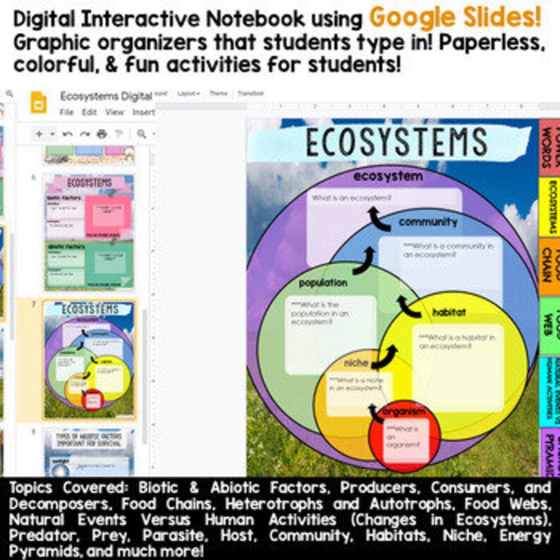 Digital Interactive Notebook Ecosystems Google Classroom Distance Learning - Etsy