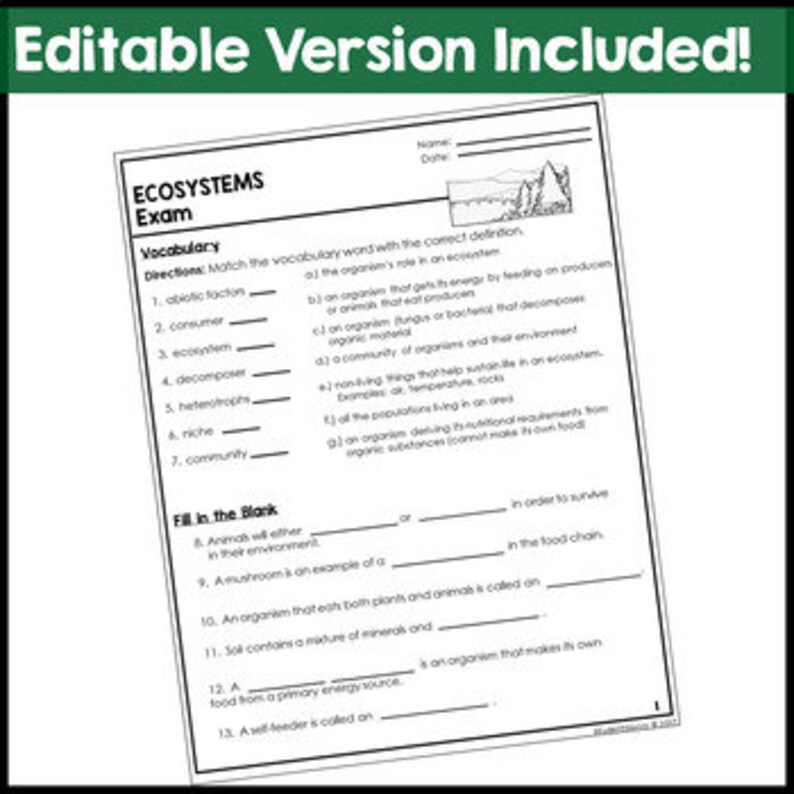 Ecosystems Exam Assessment Ecosystems Earth Science Food Etsy