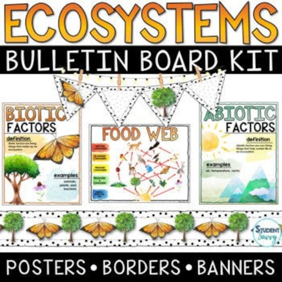 Poster Board Definition