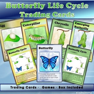 Ciclo de vida de la mariposa - Tarjetas coleccionables