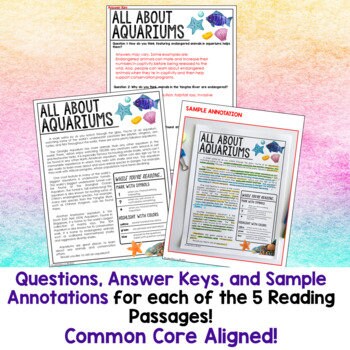 Summer Reading Passages With Comprehension Passages Digital & Print ...