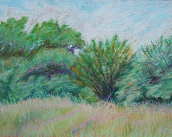 Original oil pastel drawing "Summer Noon"