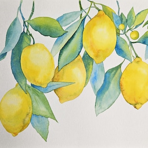 Lemon Branch Watercolor Original Painting Sicilian Lemons Watercolor Art Fruit Home Decor  Lemons Wall Art Kitchen Watercolor Lemon Decor