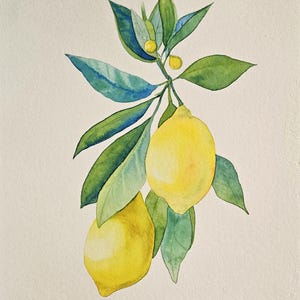 Lemon Branch Watercolor Original Painting Sicilian Lemons Watercolor Art Fruit Home Decor  Lemons Wall Art Kitchen Watercolor Lemon Decor