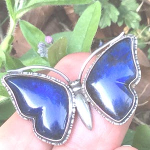 Antique Butterflywing Large Butterfly Sterling Silver Brooch