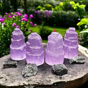 Violet Shield Selenite and Black Tourmaline Home Protection Set - Set of 4 | Protective Crystals for your Home | Healing Energy