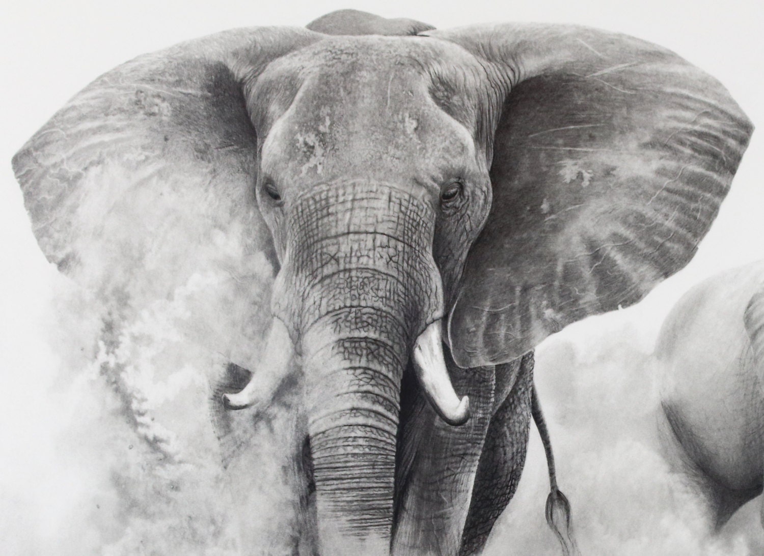 Original Pencil Drawing elephants in the Dust by - Etsy Realistic Drawings Of Elephants