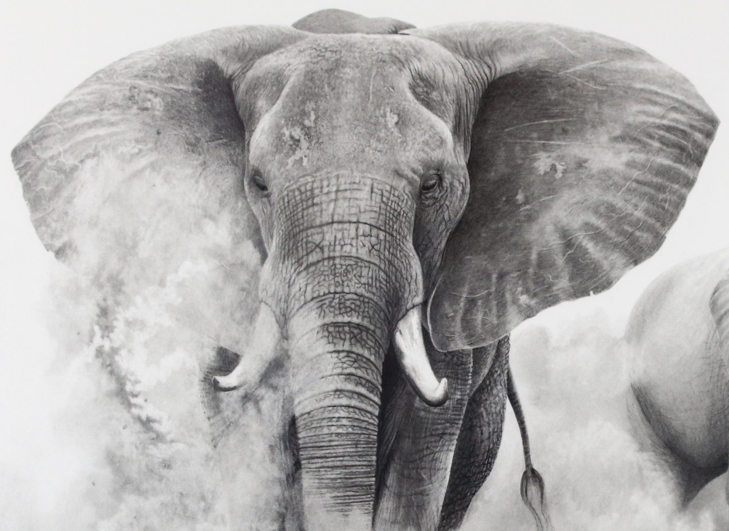 Original Pencil Drawing elephants in the Dust by - Etsy