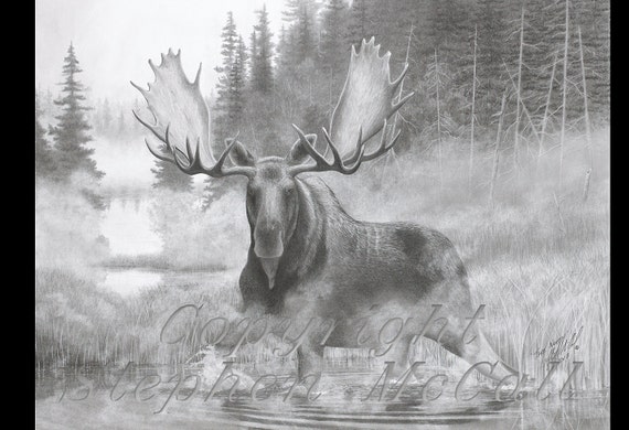 Original Pencil Drawing the North by Stephen - Etsy