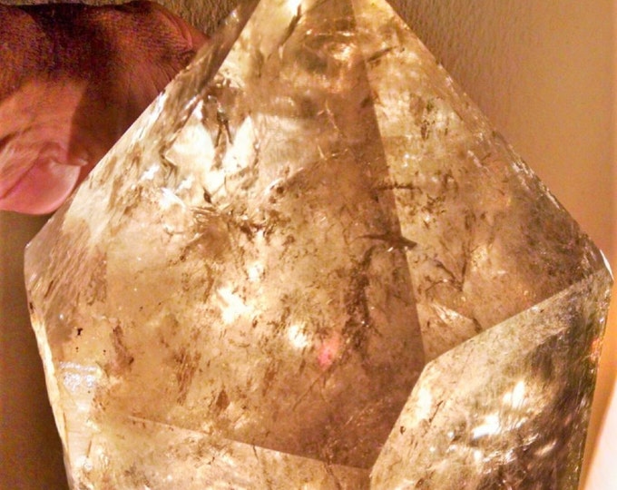 MUSEUM Quality - Extra Large Smokey Quartz EARTH KEEPER  Display Crystal with Rainbow Butterflies inside, Amazing Display Piece.