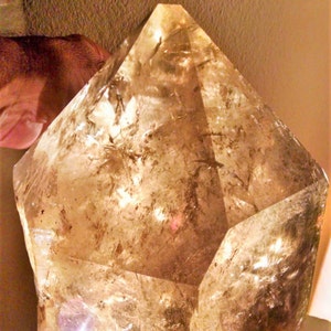 MUSEUM Quality - Extra Large Smokey Quartz EARTH KEEPER  Display Crystal with Rainbow Butterflies inside, Amazing Display Piece.
