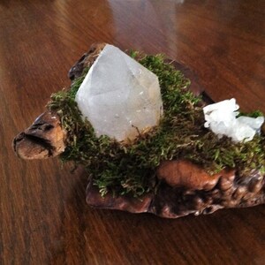 May include: A clear quartz crystal sits on a piece of driftwood covered in moss. The crystal is surrounded by green moss and a smaller piece of quartz.