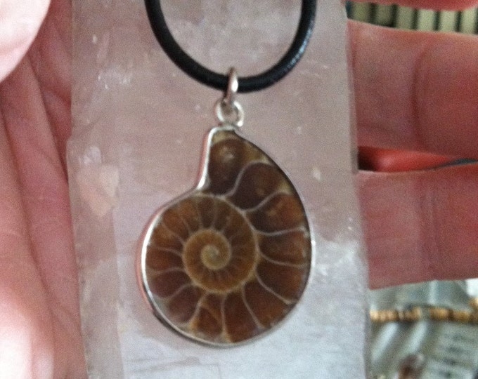 AMMONITE Fossil Pendant on black or brown leather, adjustable, Lunar and Solar Charged, Sedona, Vortex,Reiki charged, Customizable