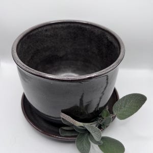 Puede incluir: Una maceta de cerámica gris oscuro con un platillo a juego. La maceta tiene una forma ancha y redondeada y un acabado brillante. Hojas de salvia se colocan en el platillo. Un artículo decorativo para plantas.