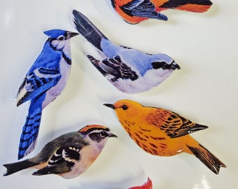 Birds #1 Magnets - set of 6
