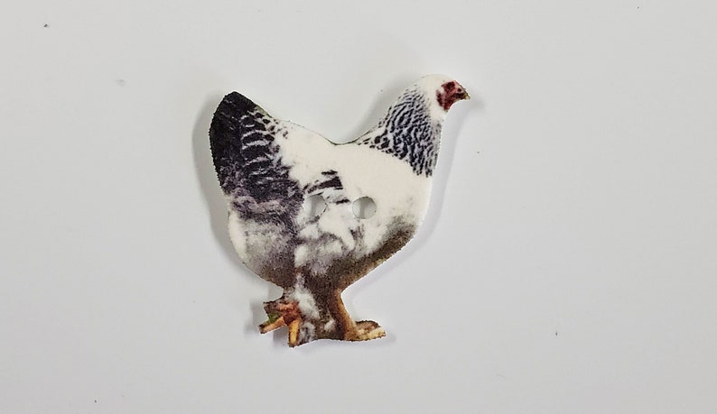 Poultry Buttons Chickens and Rooster Buttons - Set of 8 - Etsy
