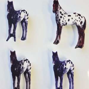 Young Horse magnets - set of 4