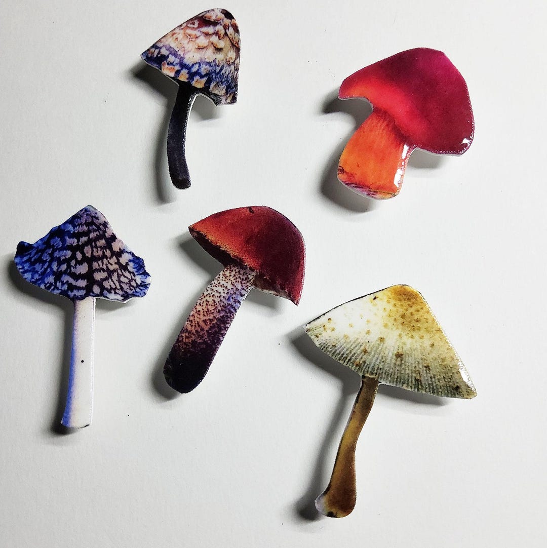 Mushroom Magnets # 103 - Set of 5 - Etsy