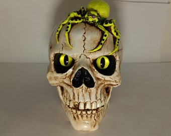 Skull with Spider