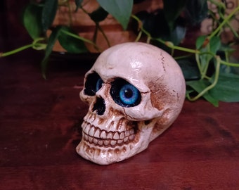 Skull, Skull with Eyes, Small Skull with Glow in the Dark Highlights