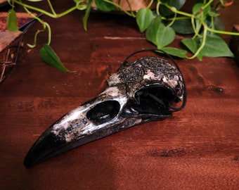 Raven Skull Figurine