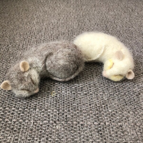 Sleeping mouse