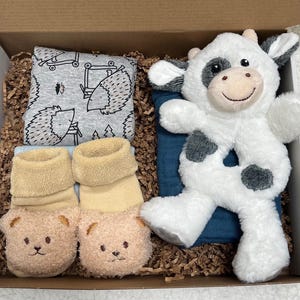 Baby Gift Box; New Mom Gift Box; Baby Gift Set; Baby Shower Gift Box; Newborn Gift Box