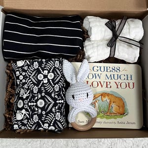 Newborn Gift Box: Onesies, Bunny Rattle & &#39;Guess How Much I Love You&#39;