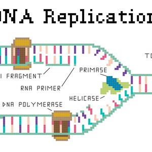 DNA Replication Cross Stitch Pattern