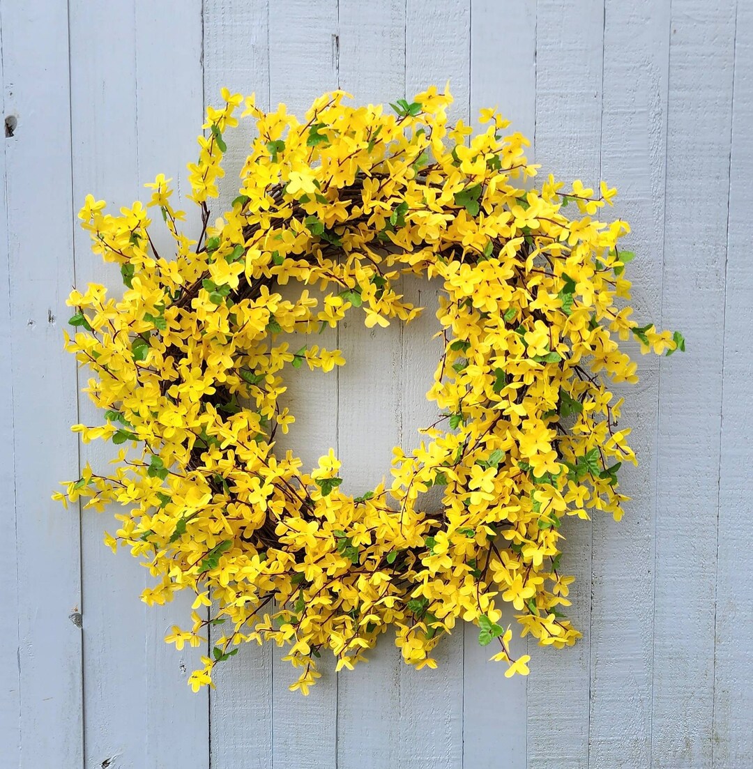 Forsythia Wreath For Front Door Large Front Door Decor Etsy Forsythia Wreath For Front Door Large Front Door Decor Etsy