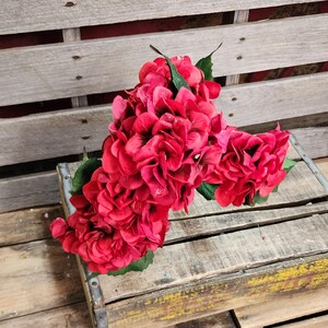 May include: A bouquet of red hydrangea flowers with green leaves. The flowers are arranged in a cluster and have a slightly textured appearance.